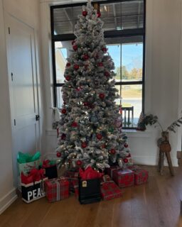 Anyone else aiming for a slow simple Christmas? After the year we’ve had with the July floods we are honestly just so grateful to be back home and enjoying the normalcy of the season. I’m not doing over the top this year. There’s less decoration around the house, a few less presents, and less hustling to every single party we were invited to and it’s been great. Don’t worry I’m sure next year I’ll be running around trying to be perfect but this year not so much. Merry Christmas! May your Christmas be whatever brings you the most peace and joy.